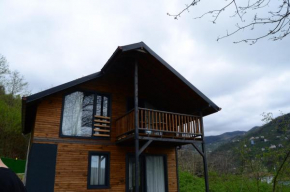 Bigoşa Bungalov